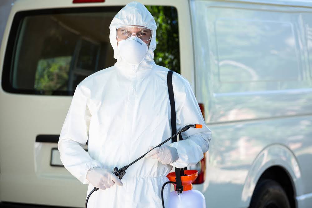 Can pest control get rid of spiders?