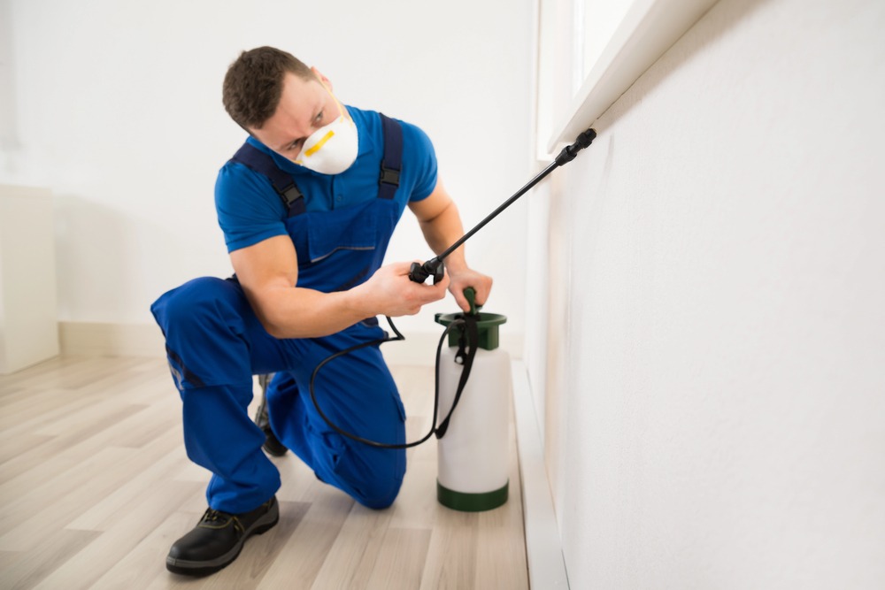 Ready to Protect Your Fresno Home from Termites?