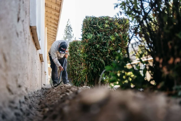 Property manager and pest control technician reviewing inspection